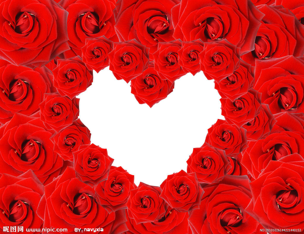 自由军哥的主播照片