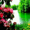 BILIP