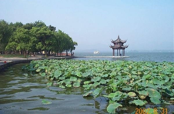 杰杰％的主播照片