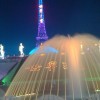 泡沫nl的頭像