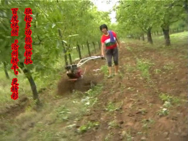 耕牛园林机械有限公司的主播照片
