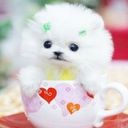 音乐的节奏美妙海报