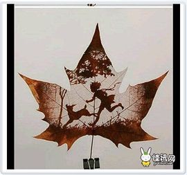゛怀念°过去♂主播照片