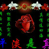 一个人的孤单up海报