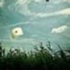 傻地瓜~海报