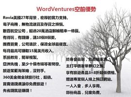 wv梦幻之旅主播照片