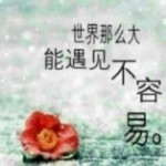 Q282878201海报