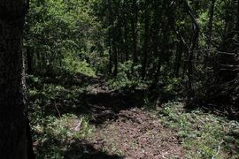 邪恶男神主播照片