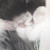 Joker_Pand