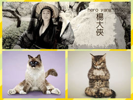 杨大侠heroyan主播照片