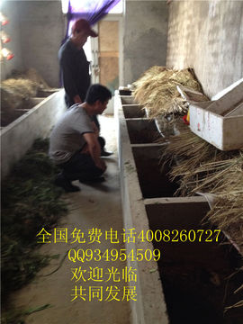 lmjyt主播照片