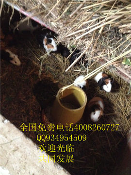 lmjyt主播照片