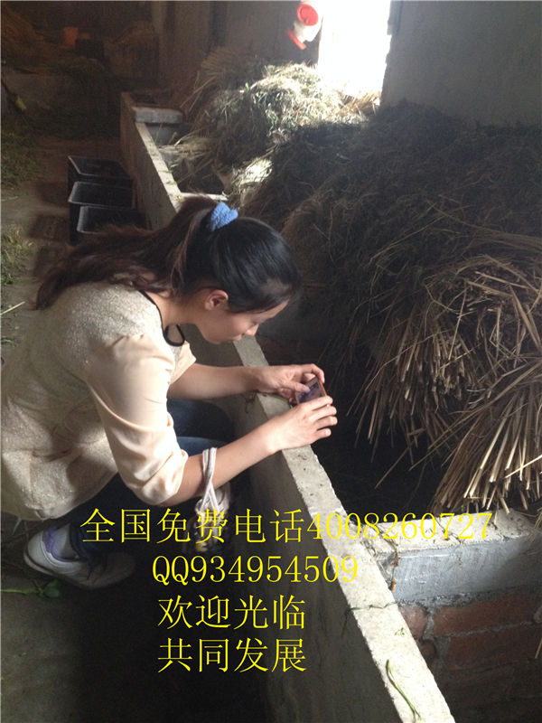 lmjyt的主播照片