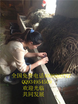 lmjyt主播照片