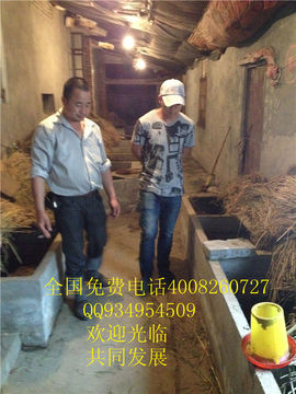 lmjyt主播照片