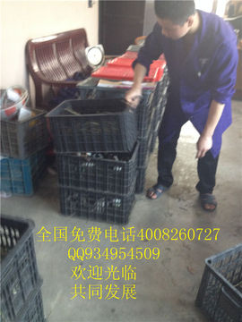 lmjyt主播照片