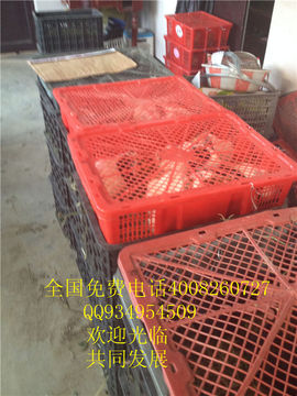 lmjyt主播照片