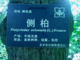玉龙文华五度传媒主播照片