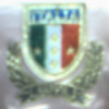 。被爱伤过