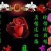 “也许你不懂”的头像