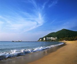 李毅勤羊杂割主播照片