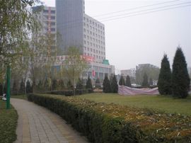 李毅勤羊杂割主播照片