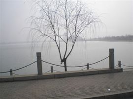 李毅勤羊杂割主播照片