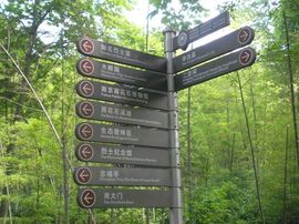 李毅勤羊杂割主播照片