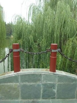 皇朝@陶文武主播照片