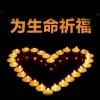 看淡一切u