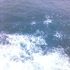 安格拉海报