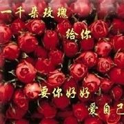 .    海报