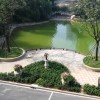 随心所欲j5海报