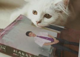 明天会更好yf主播照片