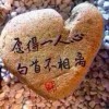 诚意y8