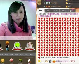 紫色的七主播照片