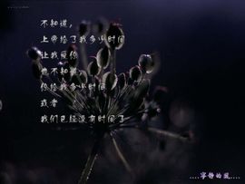 永远挂号主播照片