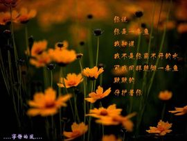 永远挂号主播照片