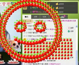 ∨燕子∨主播照片