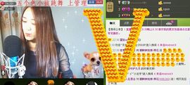 ∨燕子∨主播照片