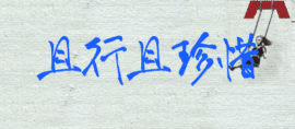 ♬◈中国好糖糖◈♬主播照片
