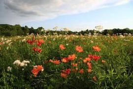 冬暖夏凉の主播照片