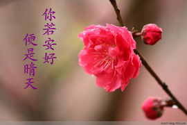 永远挂号主播照片
