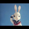 开心的兔子1