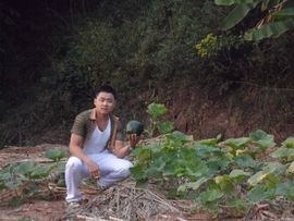 *蓝～火*主播照片