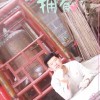 舌尖叫你死我活海报