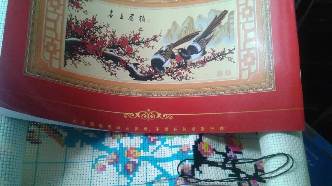 ──╄純属★诗作奇葩的主播照片