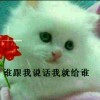 快乐一生ly