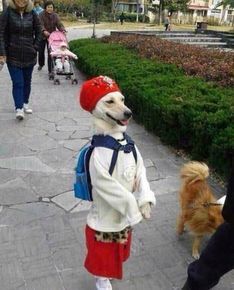 哥哥姗姗姗来迟的主播照片