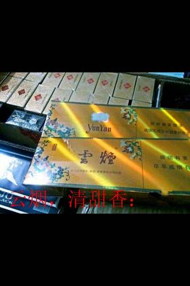 小辉.浩哥主播照片